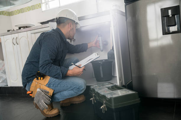 Best Local Plumber Services  in East Dubuque, IL