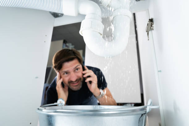 Best Pipe Repair Near Me  in East Dubuque, IL