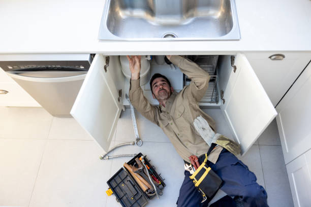 Best Plumbing Services Near Me  in East Dubuque, IL